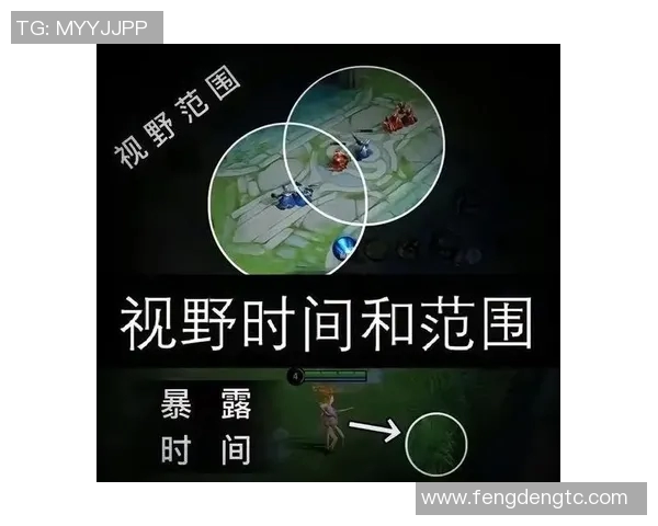 电竞数据专家赵敏分享王者荣耀实战心得与技巧解析实时新闻